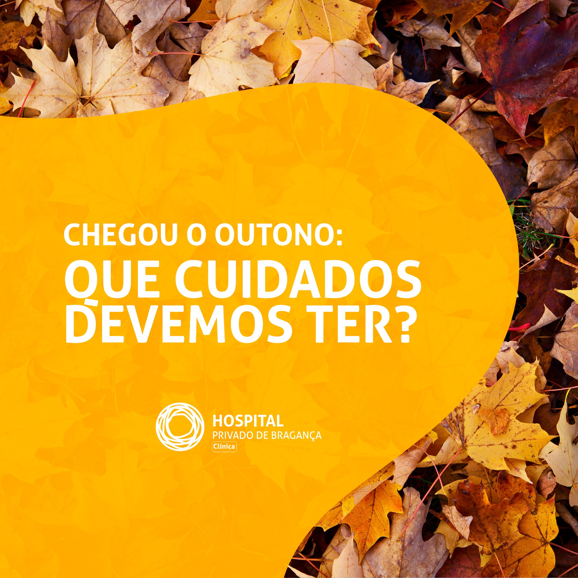 Chegou o Outono: que cuidados devemos ter?